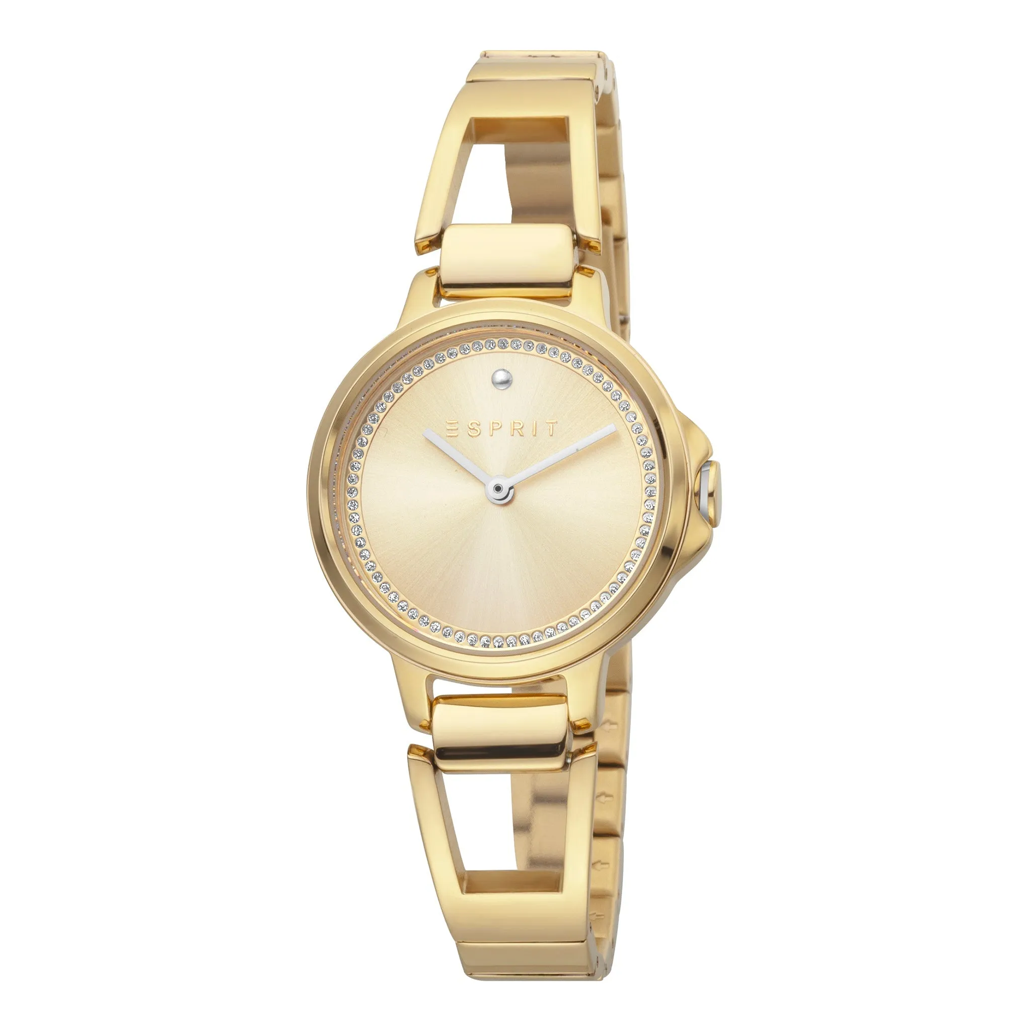 Esprit Stainless Steel Analog Women's Watch ES1L146M0065